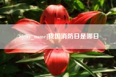 仁寿我国消防日是哪日