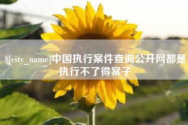仁寿中国执行案件查询公开网都是执行不了得案子