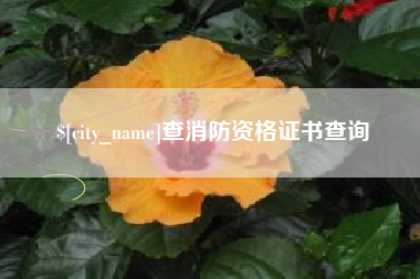 仁寿查消防资格证书查询