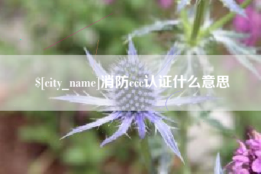仁寿消防ccc认证什么意思