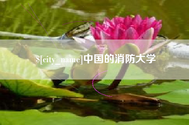 仁寿中国的消防大学