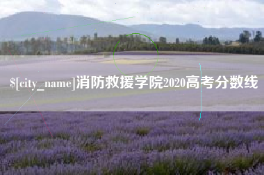仁寿消防救援学院2020高考分数线