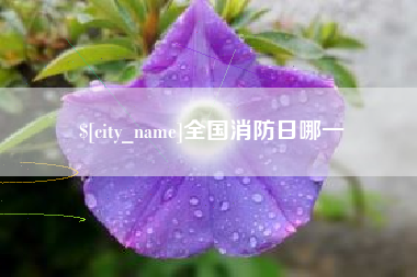 仁寿全国消防日哪一