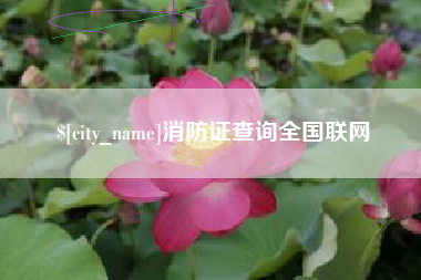 仁寿消防证查询全国联网