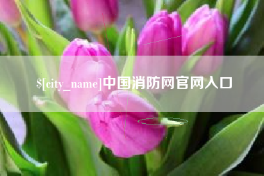 仁寿中国消防网官网入口