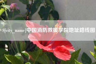 仁寿中国消防救援学院地址路线图