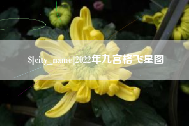 仁寿2022年九宫格飞星图