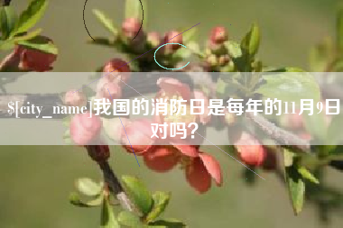 仁寿我国的消防日是每年的11月9日对吗？