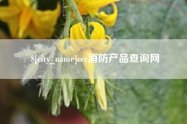 仁寿ccc消防产品查询网