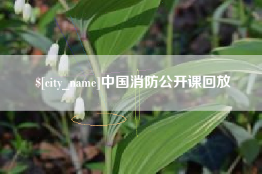 仁寿中国消防公开课回放