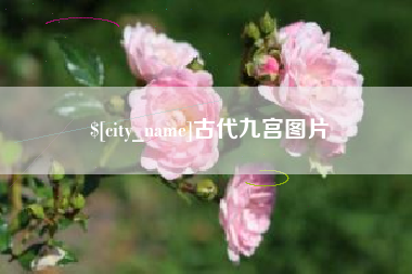 仁寿古代九宫图片