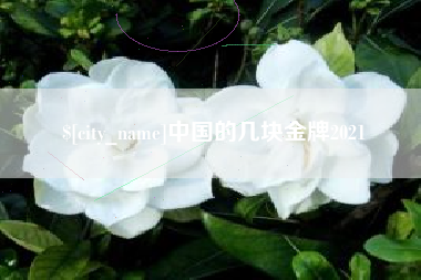 仁寿中国的几块金牌2021