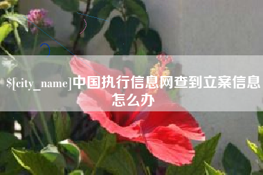 仁寿中国执行信息网查到立案信息怎么办