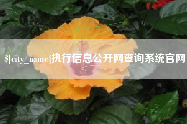 仁寿执行信息公开网查询系统官网