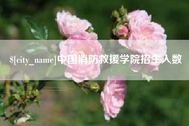 仁寿中国消防救援学院招生人数