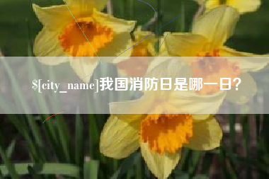 仁寿我国消防日是哪一日？