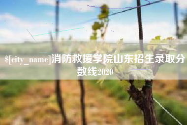 仁寿消防救援学院山东招生录取分数线2020