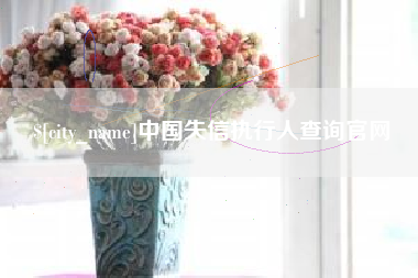 仁寿中国失信执行人查询官网