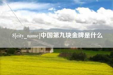 仁寿中国第九块金牌是什么