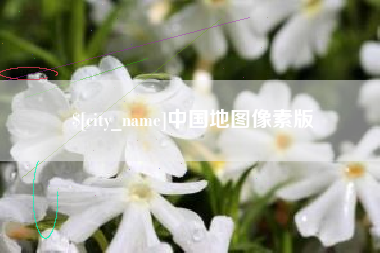 仁寿中国地图像素版