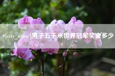 仁寿男子五千米世界冠军奖金多少