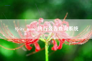 仁寿执行公告查询系统