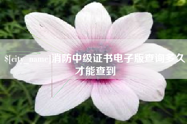 仁寿消防中级证书电子版查询多久才能查到