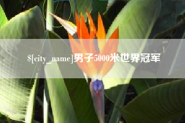 仁寿男子5000米世界冠军