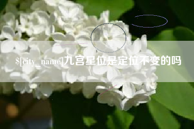 仁寿九宫星位是定位不变的吗
