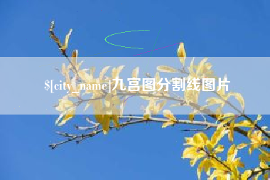 仁寿九宫图分割线图片