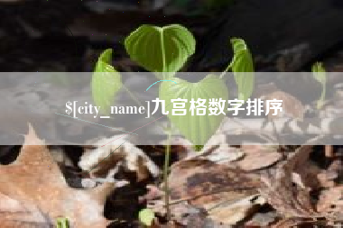 仁寿九宫格数字排序