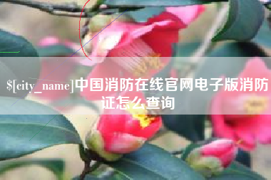 仁寿中国消防在线官网电子版消防证怎么查询
