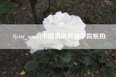 仁寿中国消防救援学院航拍