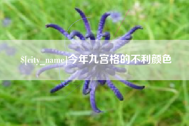仁寿今年九宫格的不利颜色