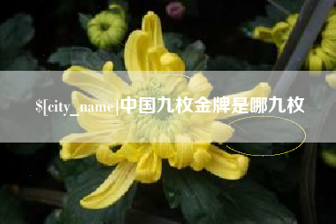 仁寿中国九枚金牌是哪九枚