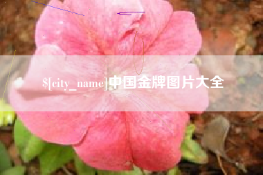 仁寿中国金牌图片大全