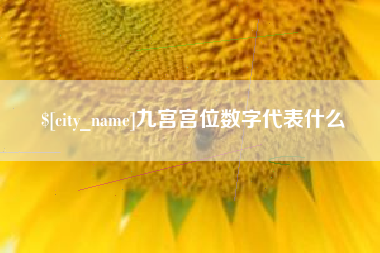 仁寿九宫宫位数字代表什么