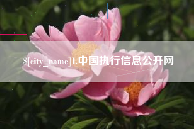 仁寿1.中国执行信息公开网