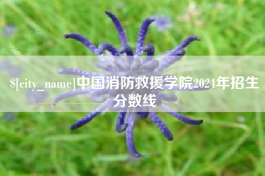 仁寿中国消防救援学院2024年招生分数线