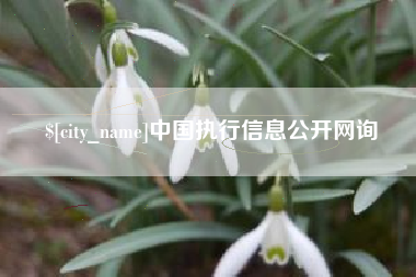 仁寿中国执行信息公开网询