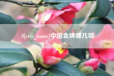 仁寿中国金牌哪几项