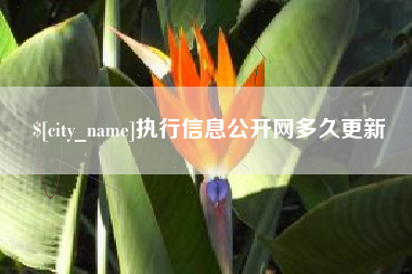 仁寿执行信息公开网多久更新