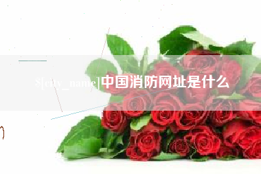 仁寿中国消防网址是什么