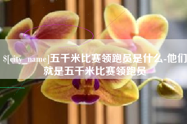 仁寿五千米比赛领跑员是什么-他们就是五千米比赛领跑员