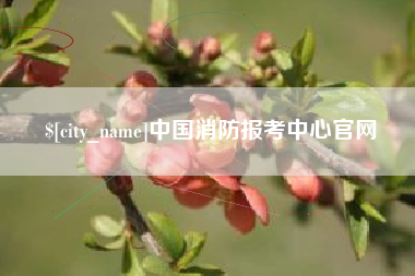 仁寿中国消防报考中心官网