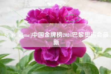 仁寿中国金牌榜2024巴黎奥运会最新