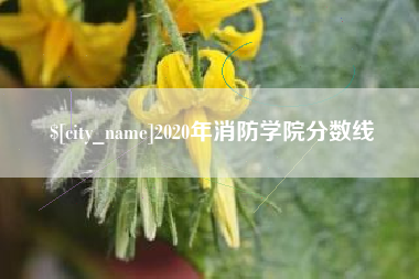 仁寿2020年消防学院分数线