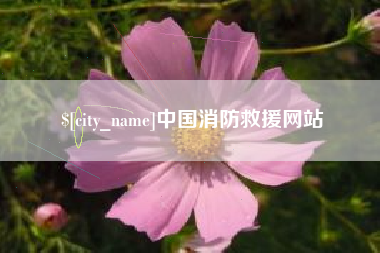 仁寿中国消防救援网站