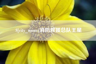 仁寿消防救援总队王星