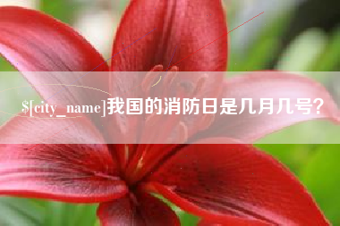 仁寿我国的消防日是几月几号？